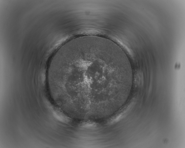 X0000094440206200711151412