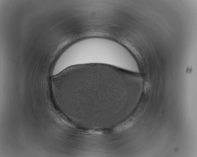 X0000094440207200711151412