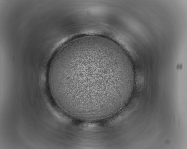 X0000094440208200711151412