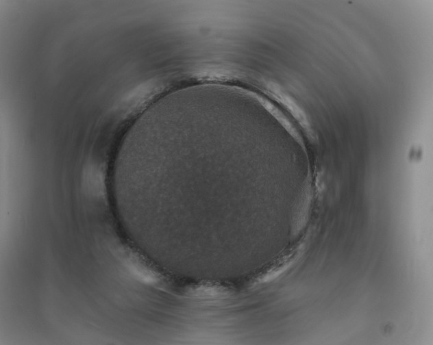 X0000094440209200711151412