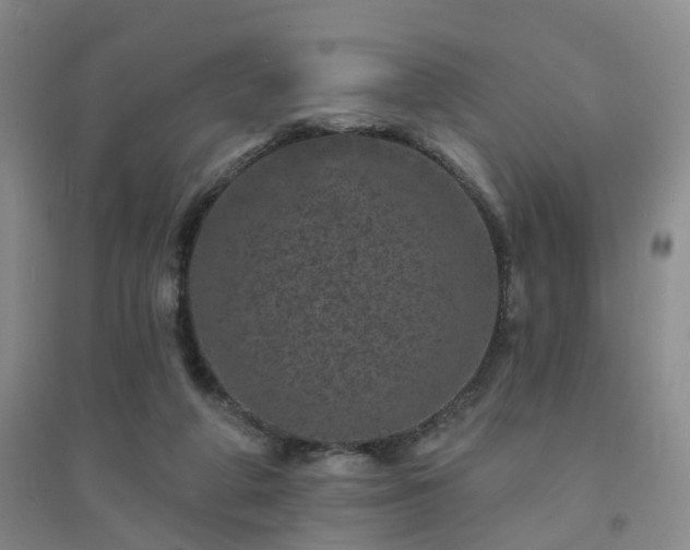 X0000094440210200711151412