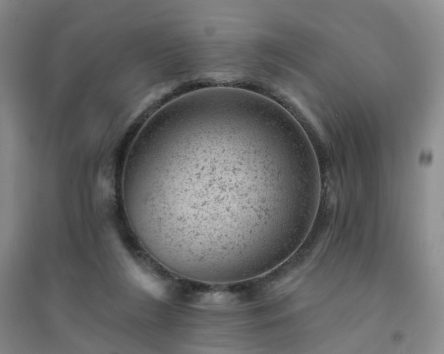 X0000094440212200711151412