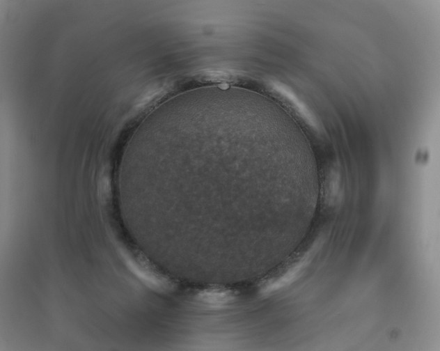 X0000094440213200711151412