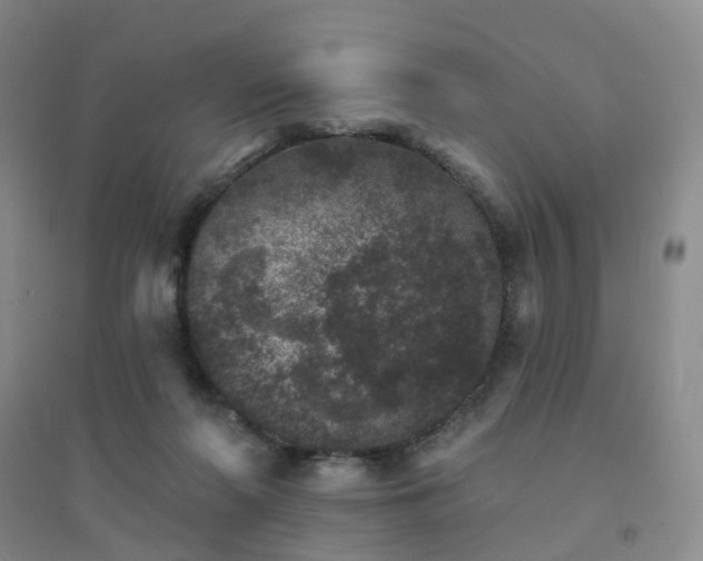 X0000094440214200711151412