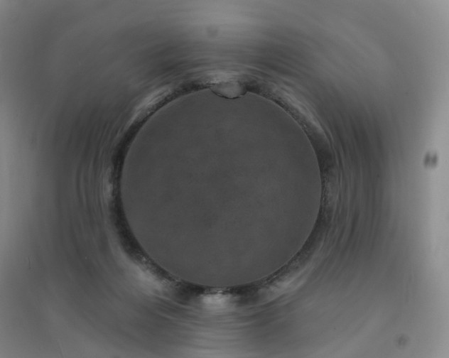 X0000094440216200711151412