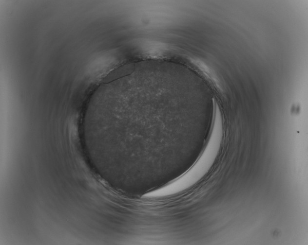 X0000094440217200711151412
