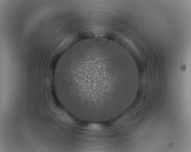 X0000094440218200711151412