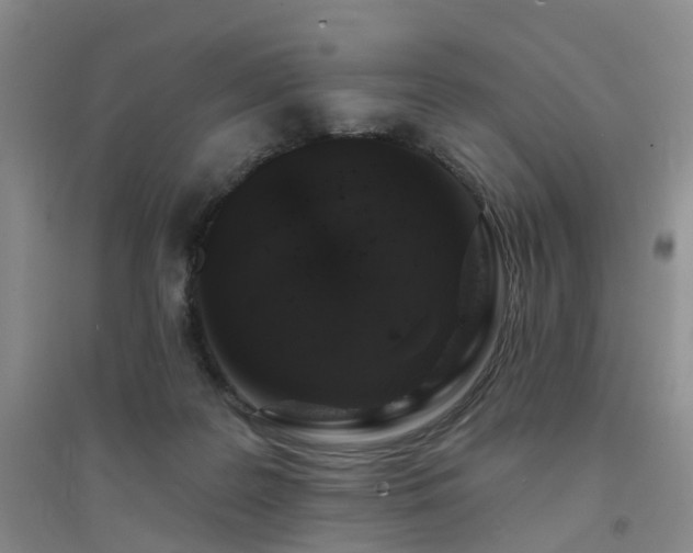 X0000094440219200711151412