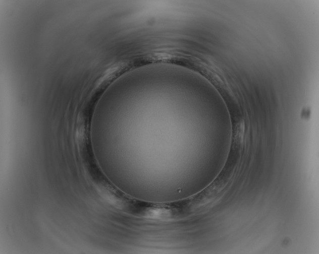 X0000094440220200711151412