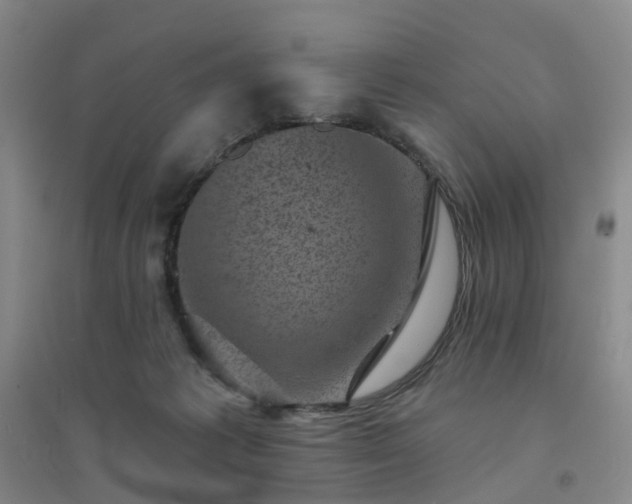 X0000094440221200711151412