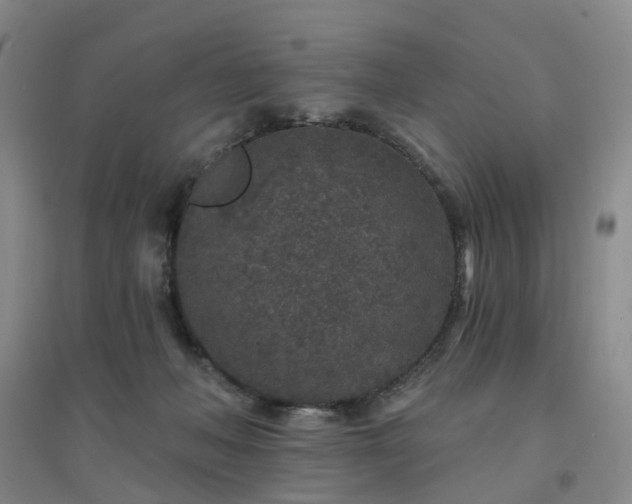 X0000094440222200711151412
