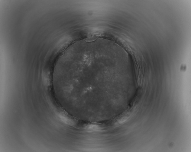 X0000094440224200711151412