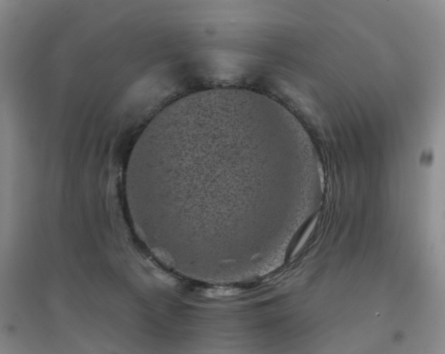 X0000094440225200711151412