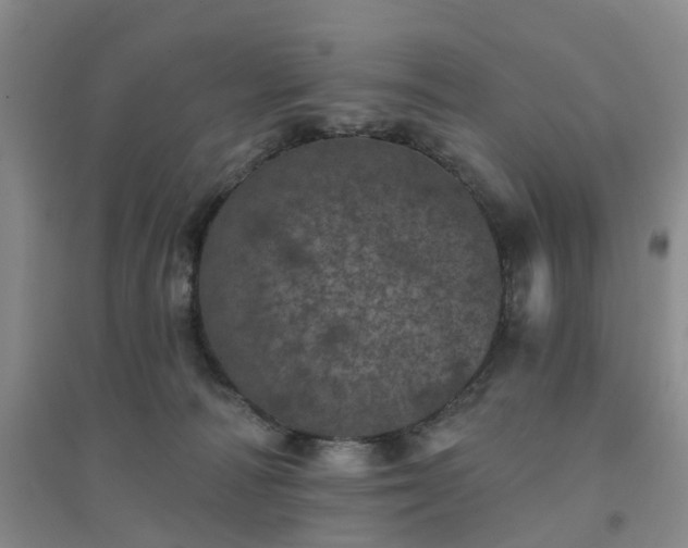 X0000094440226200711151412