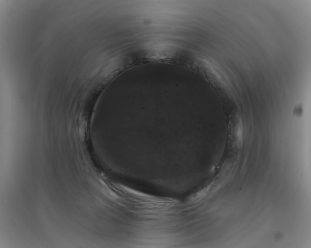X0000094440227200711151412