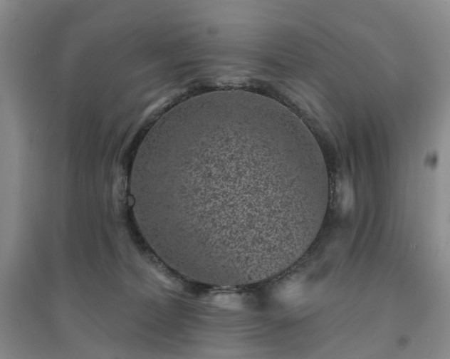 X0000094440228200711151412