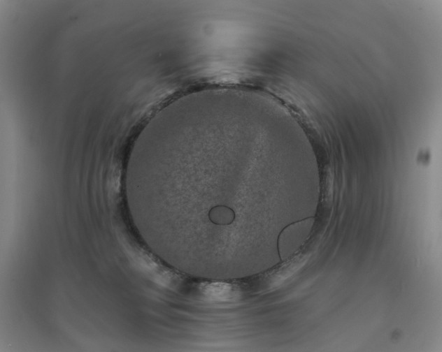 X0000094440230200711151412