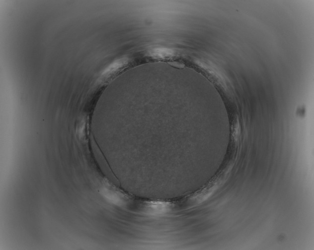 X0000094440233200711151412