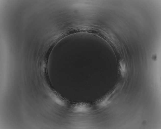X0000094440235200711151412