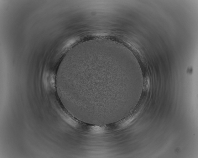 X0000094440238200711151412