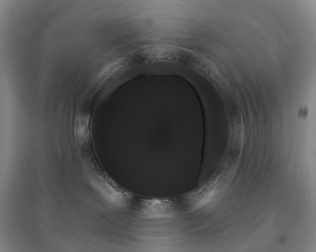 X0000094440239200711151412
