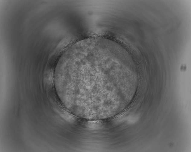 X0000094440240200711151412