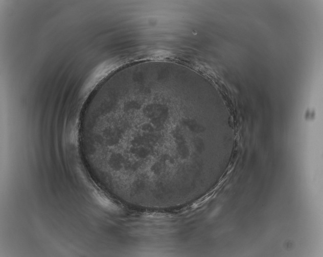 X0000094440242200711151411