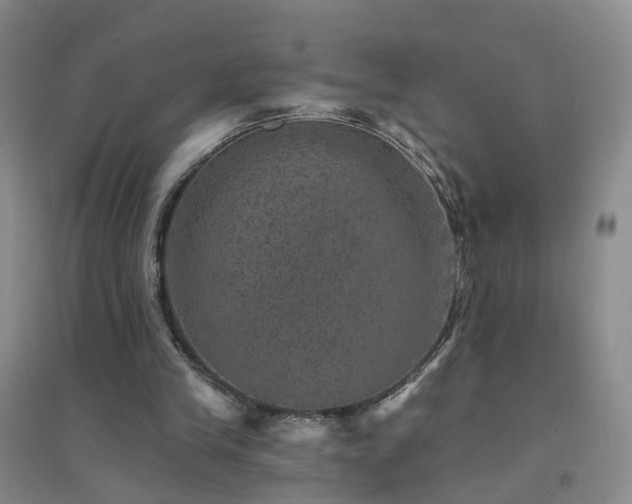 X0000094440245200711151411