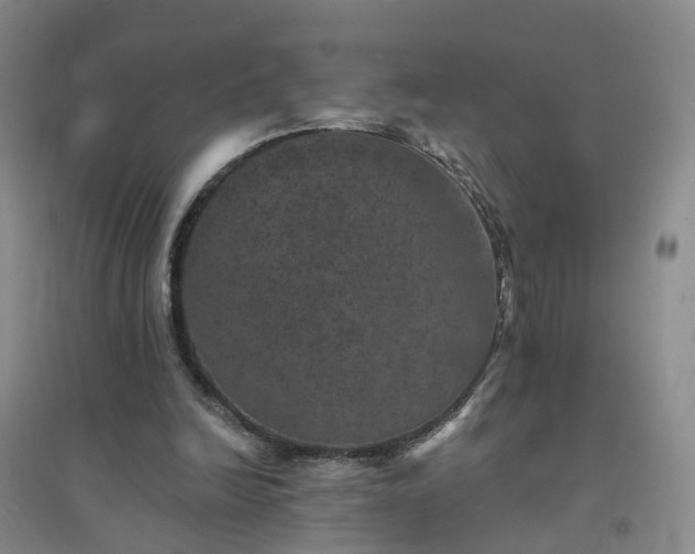 X0000094440246200711151411