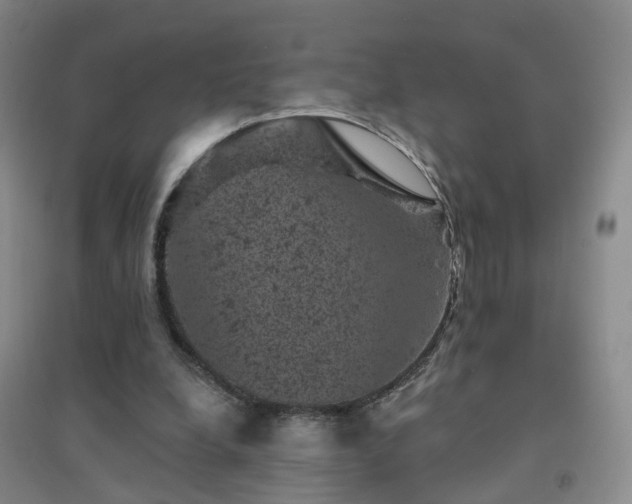 X0000094440248200711151411