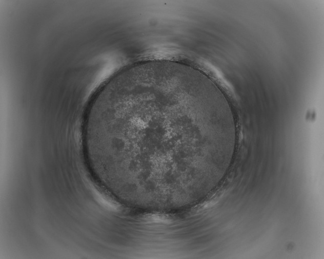 X0000094440250200711151411