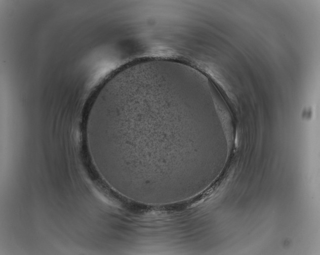 X0000094440252200711151411