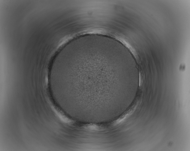 X0000094440253200711151411