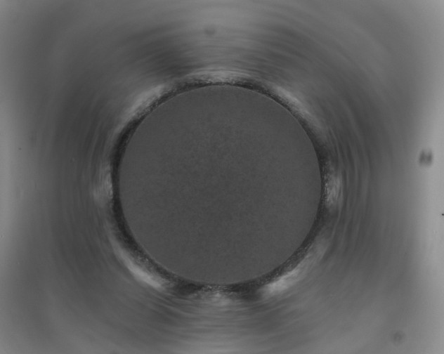 X0000094440254200711151411