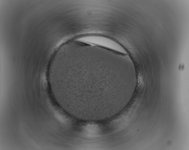 X0000094440256200711151411