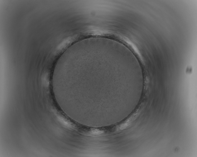 X0000094440257200711151411