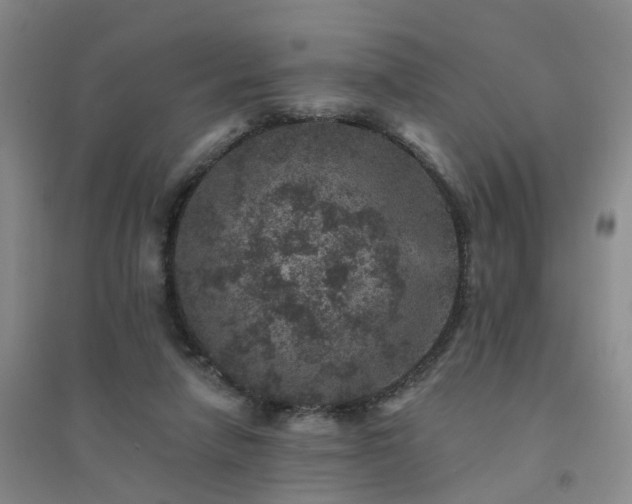 X0000094440258200711151411