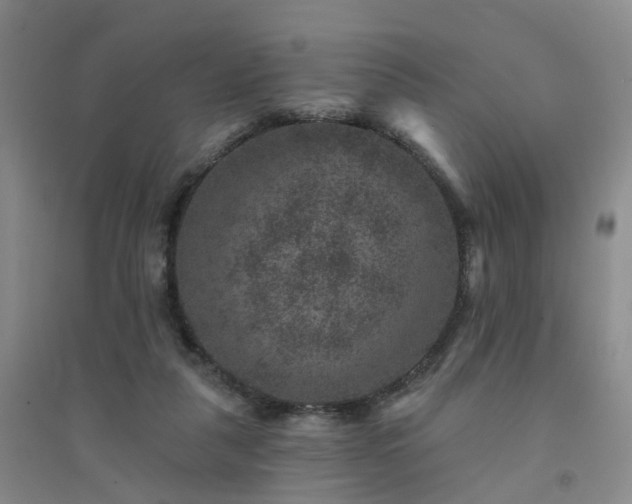 X0000094440259200711151411
