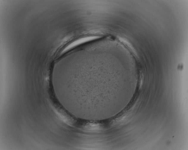 X0000094440260200711151411