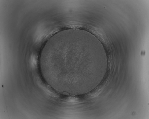 X0000094440263200711151411