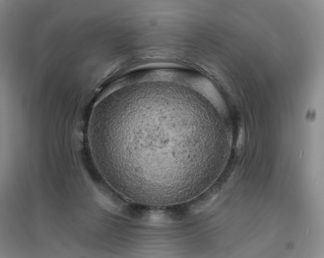 X0000094440264200711151411