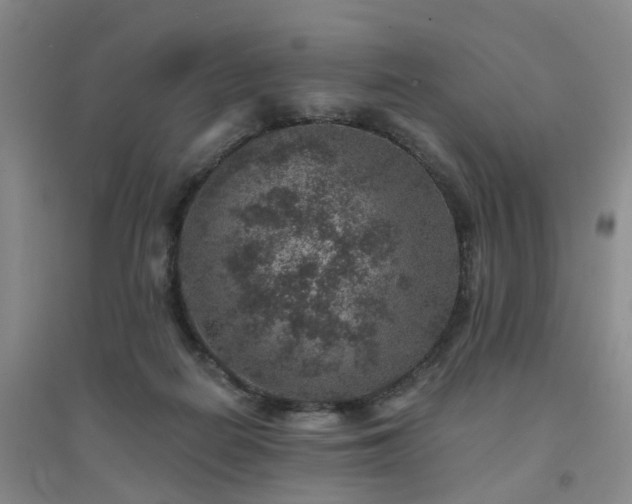 X0000094440266200711151411