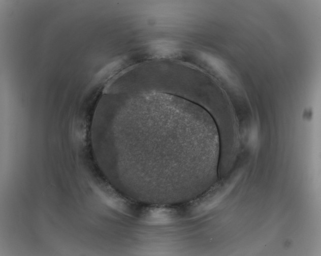 X0000094440268200711151411