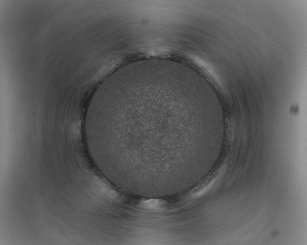 X0000094440269200711151411