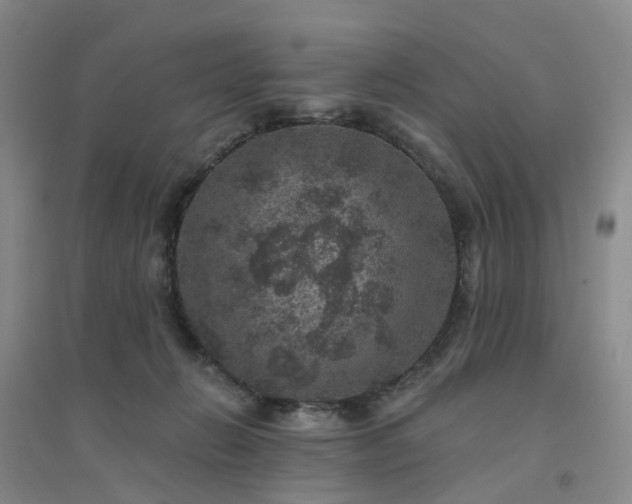 X0000094440270200711151411