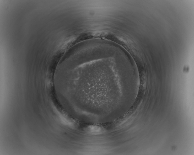 X0000094440272200711151411