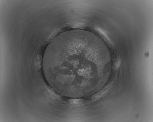 X0000094440273200711151411
