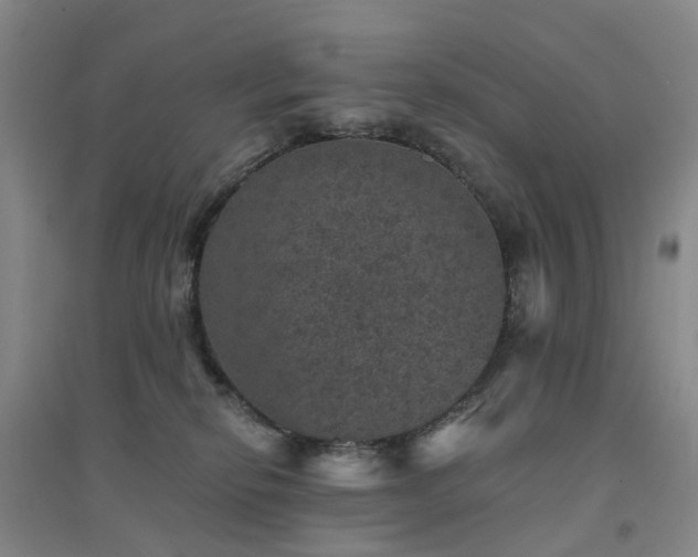 X0000094440278200711151411