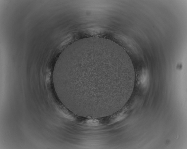 X0000094440279200711151412
