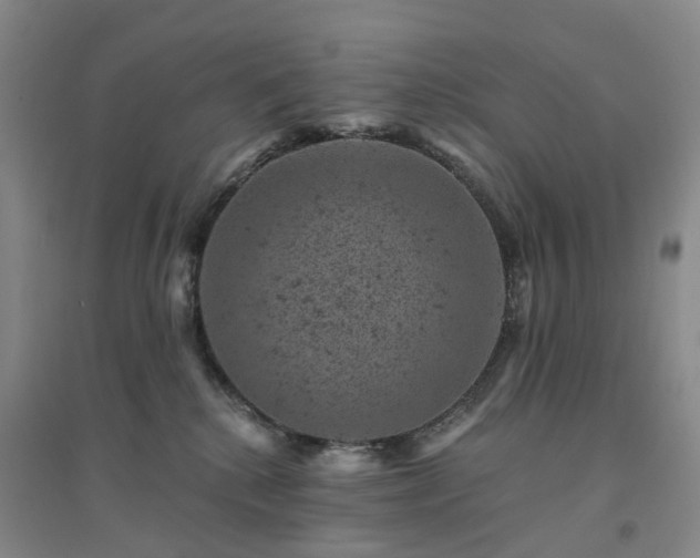 X0000094440280200711151412
